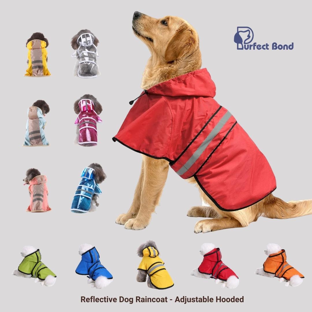 Sanfuss Ainsley Raincoat for Small to Medium Dogs