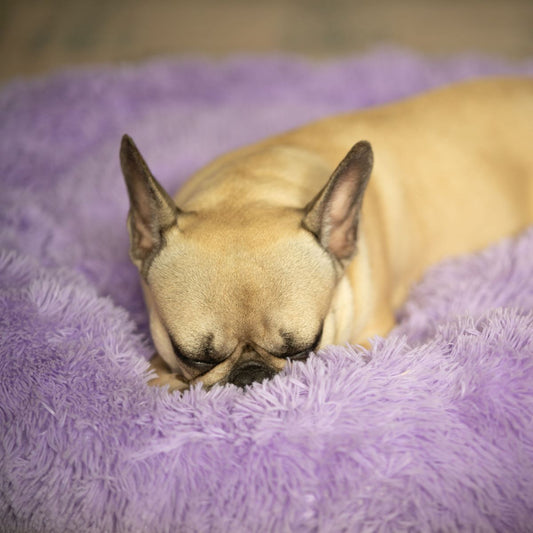 Sanfuss Plush Circular Dog Bed Calming Kit