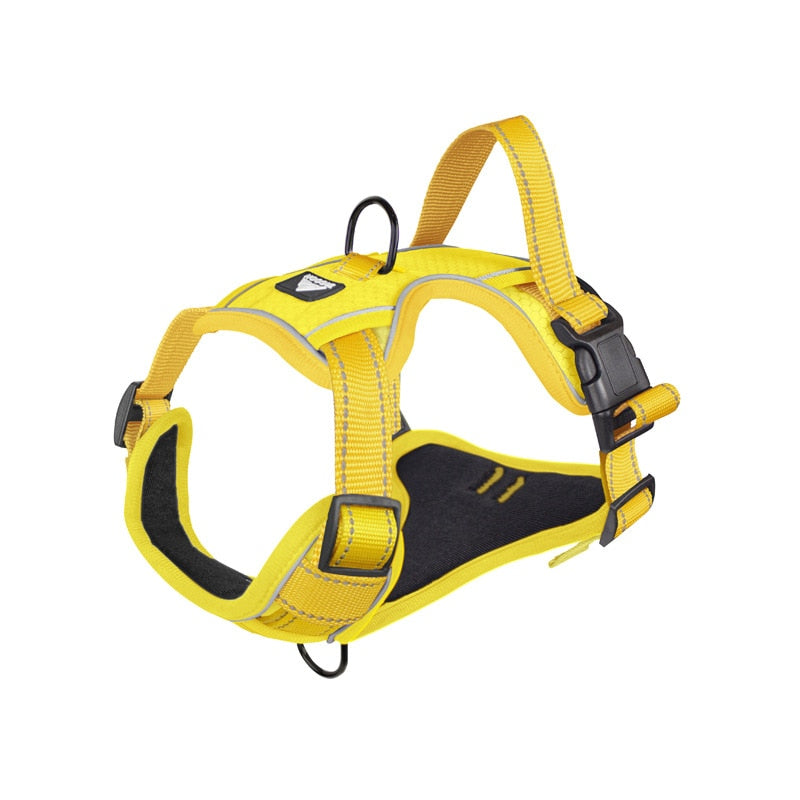 Quick Release Dog Harness