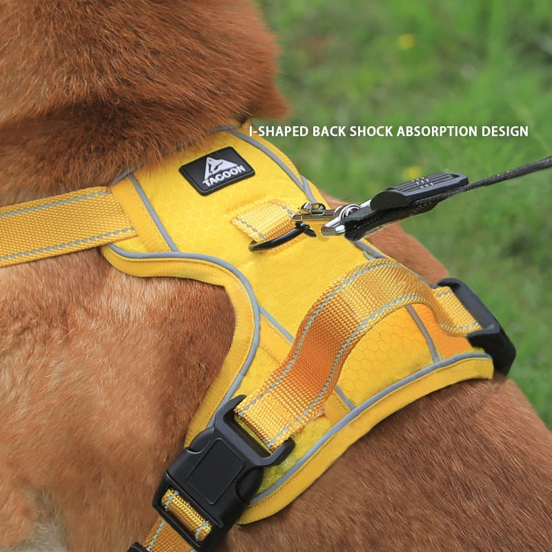 Quick Release Dog Harness